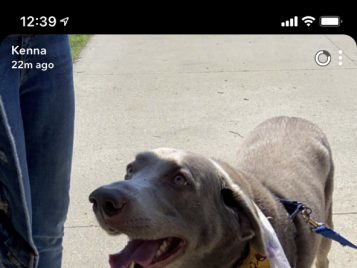 Chesney Lambert, History of Art major & Museum Studies minor 